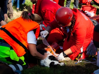 Vöröskeresztes gyakorlat a Szalki-szigeten - fotó: Ónodi Zoltán