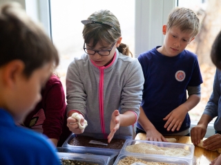 A kenyér világnapja - fotó: Ónodi Zoltán