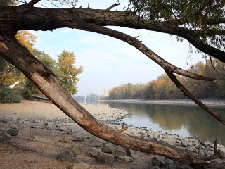 A Duna vízszintje városunknál - fotó: Sándor Judit