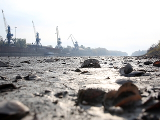 A Duna vízszintje városunknál - fotó: Sándor Judit