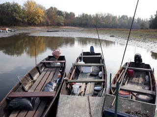 A Duna vízszintje városunknál - fotó: Sándor Judit