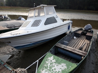 A Duna vízszintje városunknál - fotó: Sándor Judit