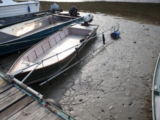 A Duna vízszintje városunknál - fotó: Sándor Judit