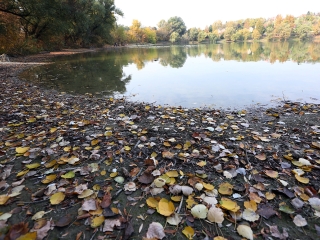 A Duna vízszintje városunknál - fotó: Sándor Judit