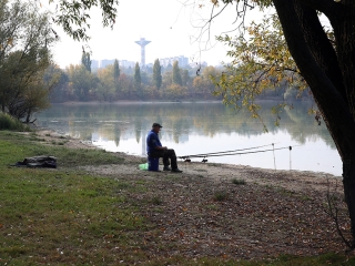 A Duna vízszintje városunknál - fotó: Sándor Judit