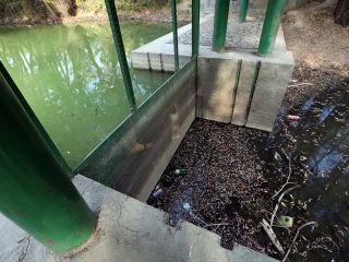 A Duna vízszintje városunknál - fotó: Sándor Judit