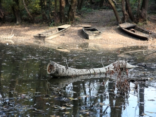 A Duna vízszintje városunknál - fotó: Sándor Judit