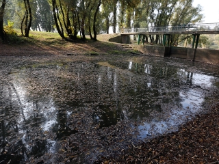 A Duna vízszintje városunknál - fotó: Sándor Judit
