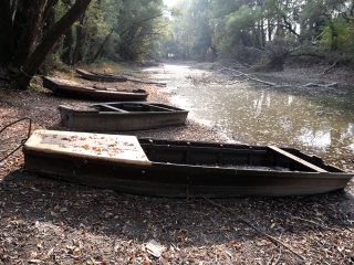 A Duna vízszintje városunknál - fotó: Sándor Judit
