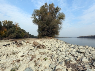 A Duna vízszintje városunknál - fotó: Sándor Judit