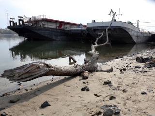 A Duna vízszintje városunknál - fotó: Sándor Judit