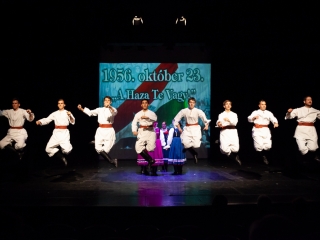 A Dunaújvárosért Díj átadása (2018) - fotó: Ónodi Zoltán