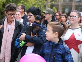 Séta a mellrák ellen (2018) - fotó: Sándor Judit