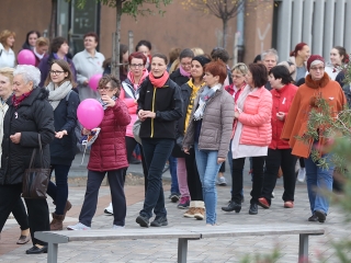 Séta a mellrák ellen (2018) - fotó: Sándor Judit