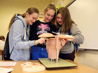 Szakképzés Napja 2018 - fotó: Sándor Judit