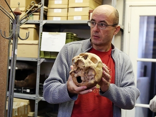 Múzeumok Őszi Fesztiválja - fotó: Sándor Judit