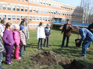 Öko-nap a Petőfiben - fotó: Sándor Judit