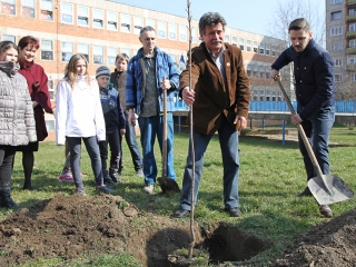 Öko-nap a Petőfiben - fotó: Sándor Judit