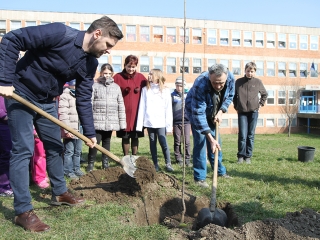 Öko-nap a Petőfiben - fotó: Sándor Judit