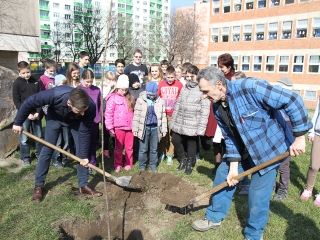 Öko-nap a Petőfiben - fotó: Sándor Judit