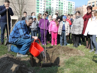 Öko-nap a Petőfiben - fotó: Sándor Judit