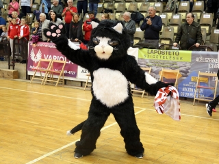 DKKA - Siófok KC 27-22 - fotó: Sándor Judit