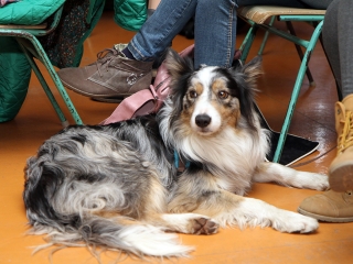 Kisbiológusok találkozója - fotó: Sándor Judit