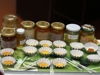 Kisbiológusok találkozója - fotó: Sándor Judit