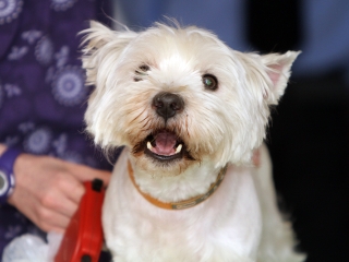 Kisbiológusok találkozója - fotó: Sándor Judit