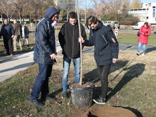 Fákat ültettek a Békében - fotó: Sándor Judit