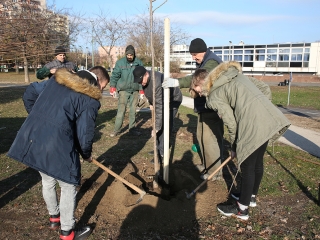 Fákat ültettek a Békében - fotó: Sándor Judit