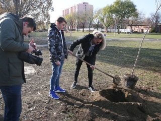 Fákat ültettek a Békében - fotó: Sándor Judit