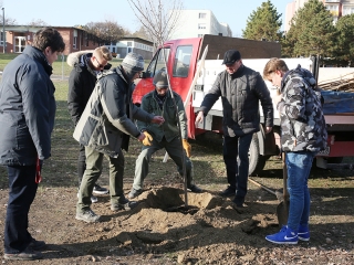 Fákat ültettek a Békében - fotó: Sándor Judit
