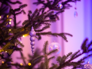 Fidesz jótékonysági bál 2018 - fotó: Ónodi Zoltán