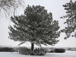 Hótakaró alatt a város - fotó: Sándor Judit