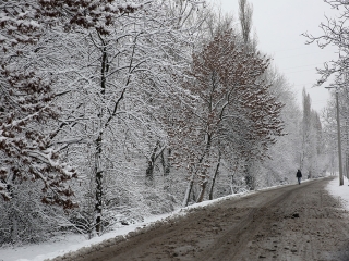 Hótakaró alatt a város - fotó: Sándor Judit