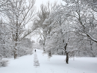 Hótakaró alatt a város - fotó: Sándor Judit
