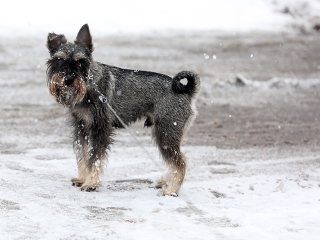 Hótakaró alatt a város - fotó: Sándor Judit