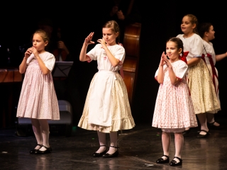 A Vasas Táncegyüttes év végi gálája (2018) - fotó: Ónodi Zoltán