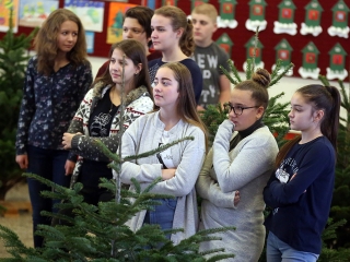 Karácsonyfa díszítő verseny (2018) - fotó: Sándor Judit