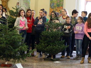 Karácsonyfa díszítő verseny (2018) - fotó: Sándor Judit