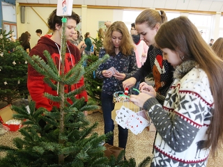 Karácsonyfa díszítő verseny (2018) - fotó: Sándor Judit