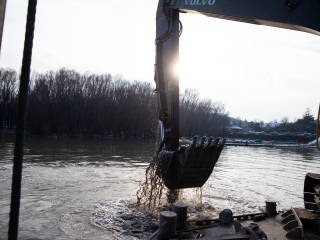 Mederkotrás az öbölben - fotó: Ónodi Zoltán