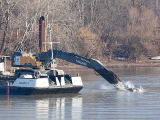 Mederkotrás az öbölben - fotó: Ónodi Zoltán