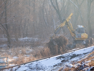 Mederkotrás az öbölben - fotó: Ónodi Zoltán