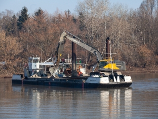 Mederkotrás az öbölben - fotó: Ónodi Zoltán