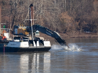 Mederkotrás az öbölben - fotó: Ónodi Zoltán