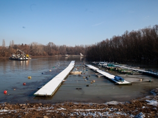 Mederkotrás az öbölben - fotó: Ónodi Zoltán