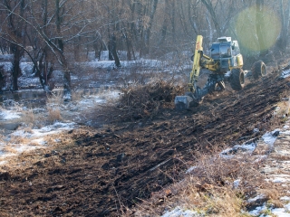 Mederkotrás az öbölben - fotó: Ónodi Zoltán