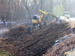 Mederkotrás az öbölben - fotó: Ónodi Zoltán